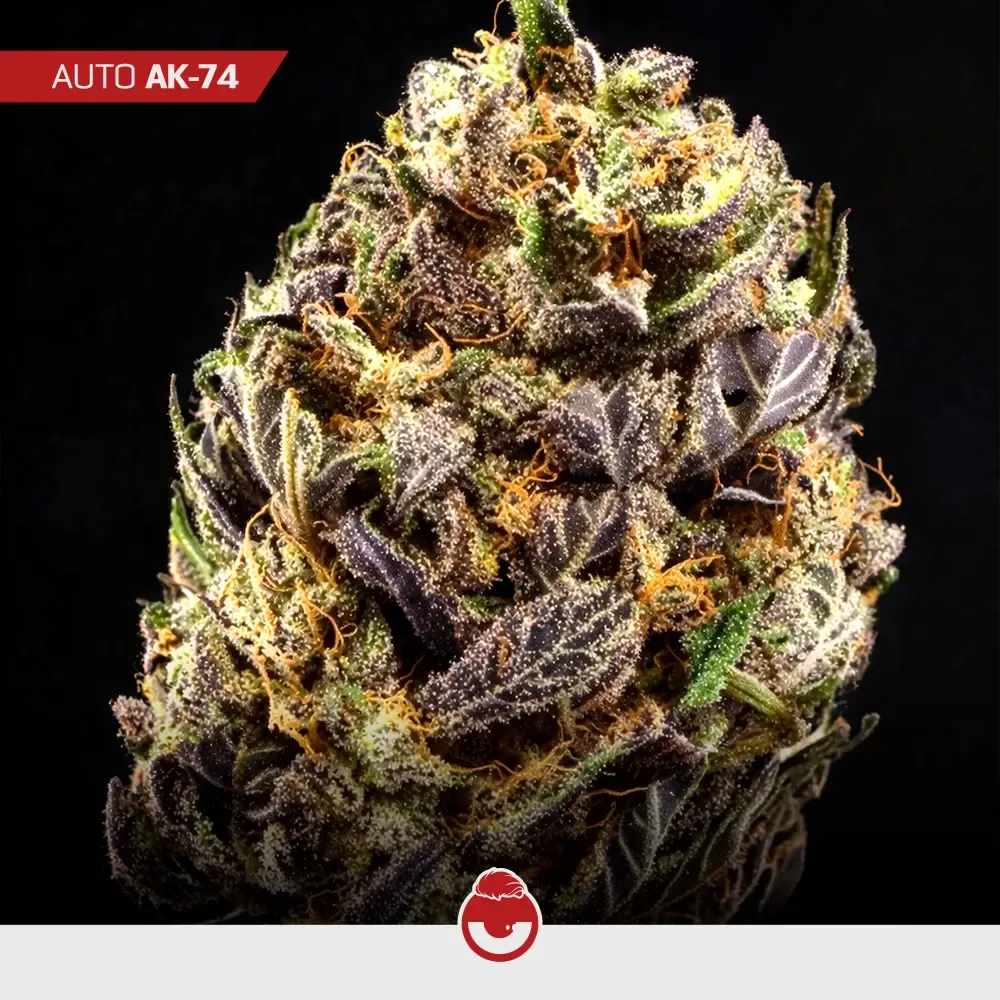 Power-Mix_2.webp