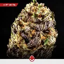 Power-Mix_2.webp