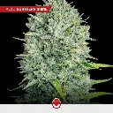 Power-Mix_4.webp