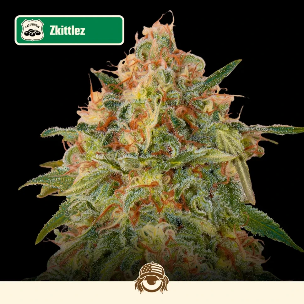 Cali-Automáticas-Auto-Zkittlez.webp