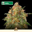 Cali-Automáticas-Auto-Zkittlez.webp