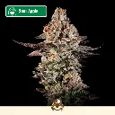 Cali-Automáticas-Auto-Sour-Apple.webp