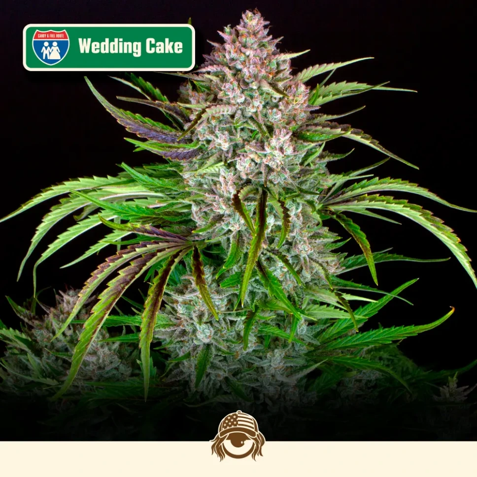 Cali-Automáticas-Auto-Wedding Cake.webp