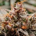 Auto-slush-mint-cake_3.webp