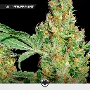 VIP-Mix_2.webp