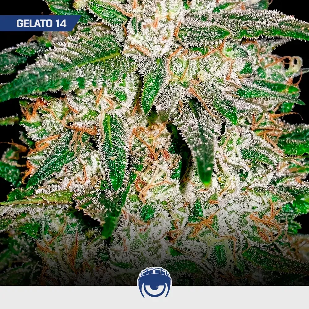 Energy-mix_2.webp