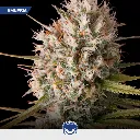 Energy-mix_4.webp