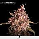 VIP-Mix_3.webp