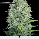 VIP-Mix_4.webp