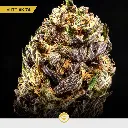 Gold-Mix_4.webp