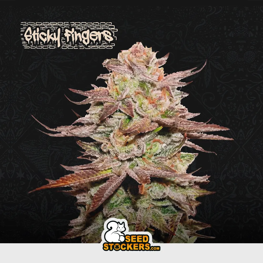 [SEM-SES-AUT-0013] Auto Sticky Fingers
