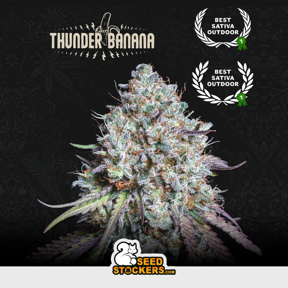 Thunder Banana