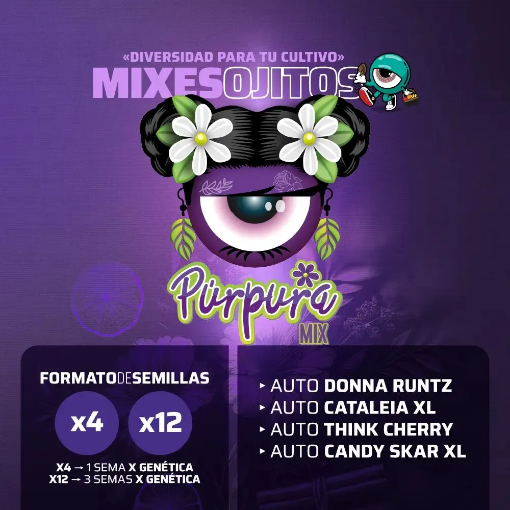 [SEM-ORJ-MIX-0006-04] Purpura Mix (x4)