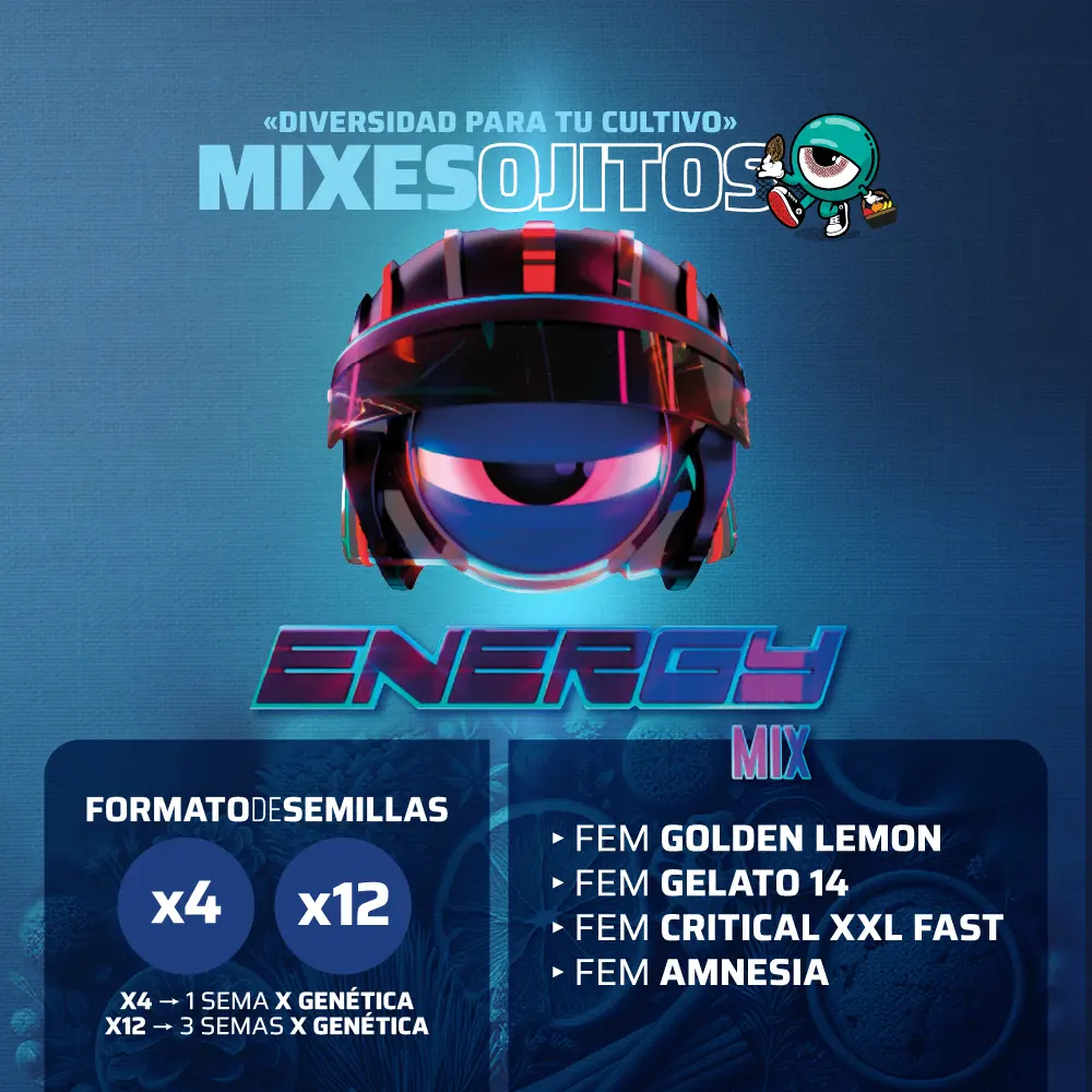 Energy Mix
