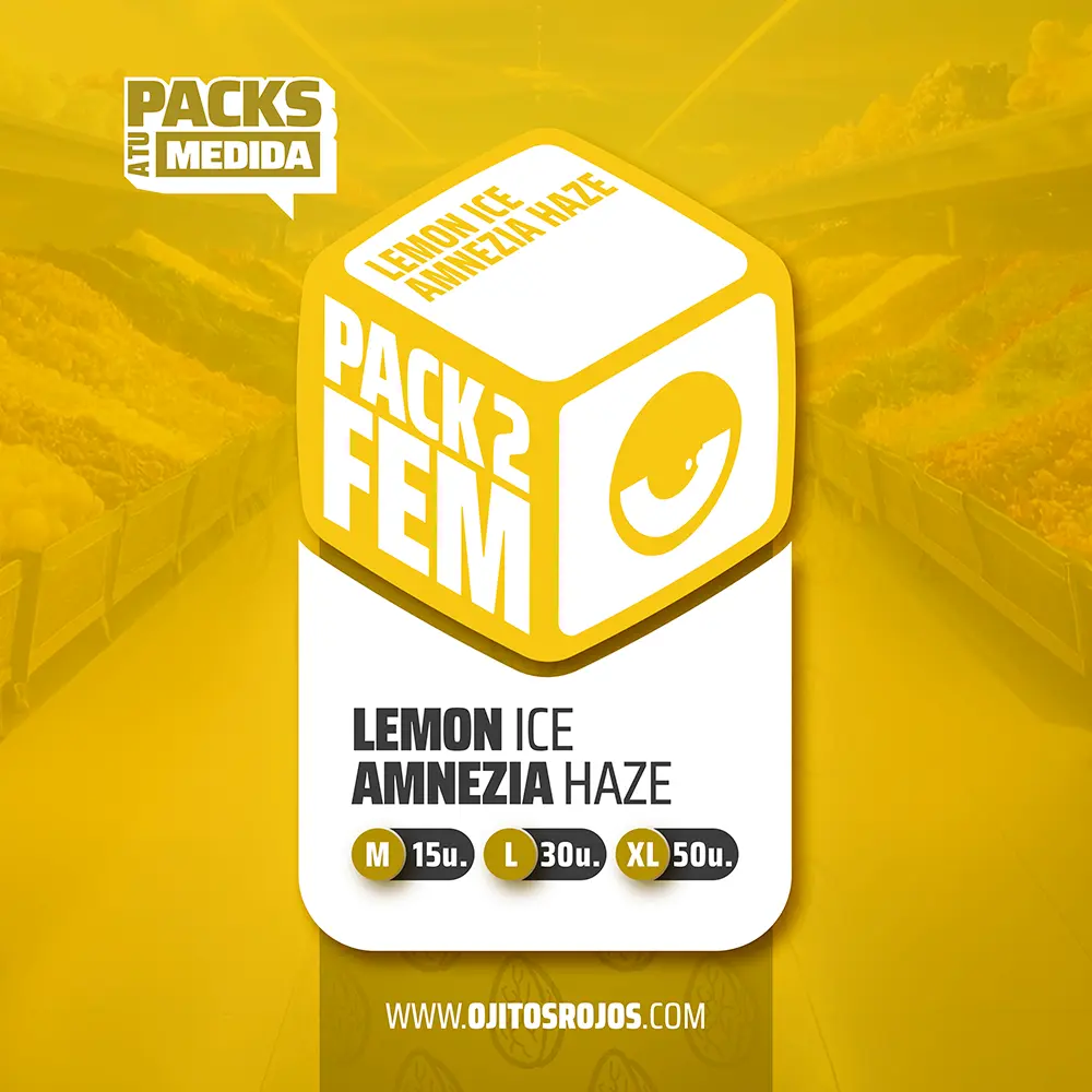 [SEM-ORJ-PCK-0004-15] Pack 2 FEM (x15)