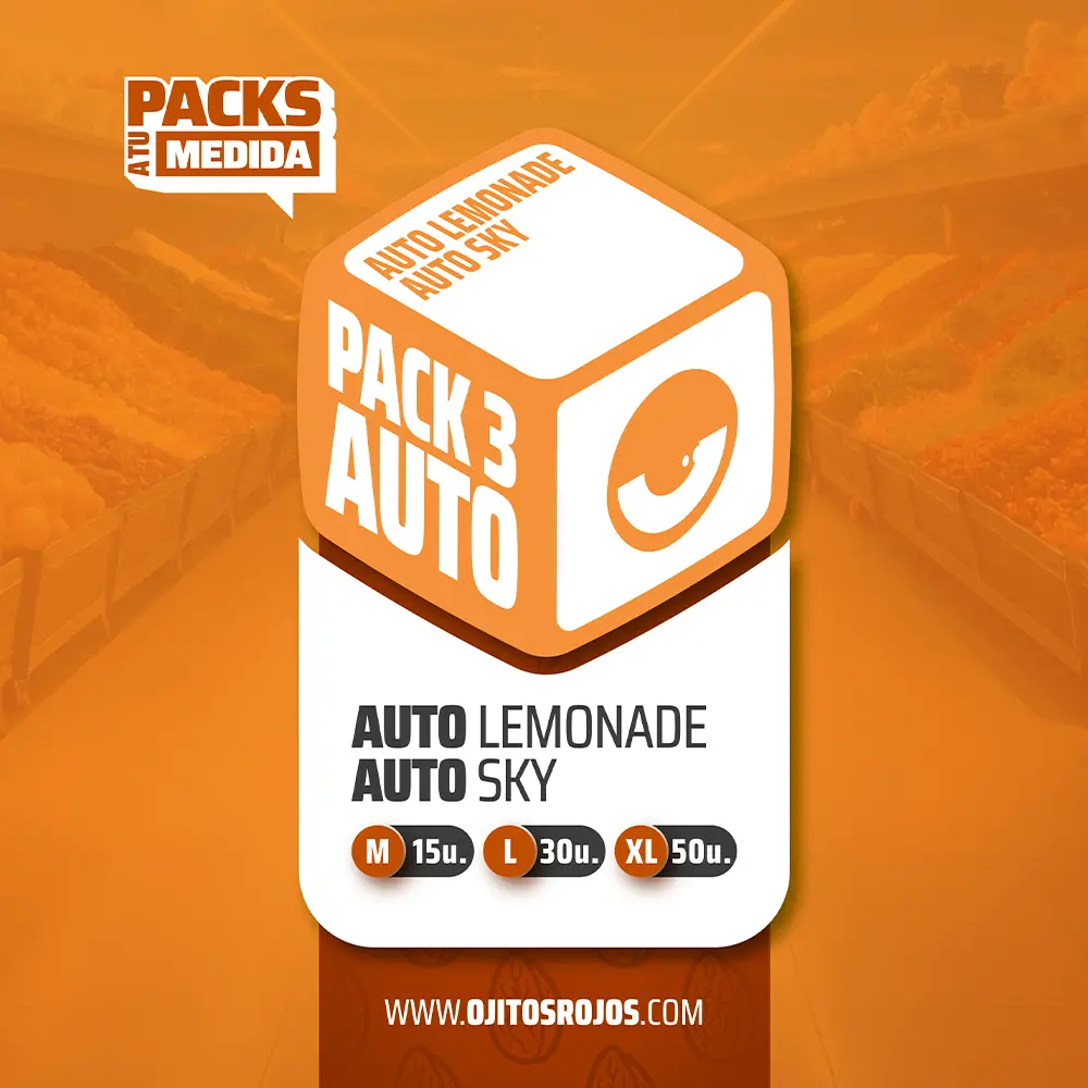 [SEM-ORJ-PCK-0007-15] Pack 3 AUTO (x15)