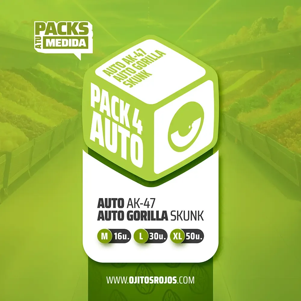 [SEM-ORJ-PCK-0010-15] Pack 4 AUTO (x15)