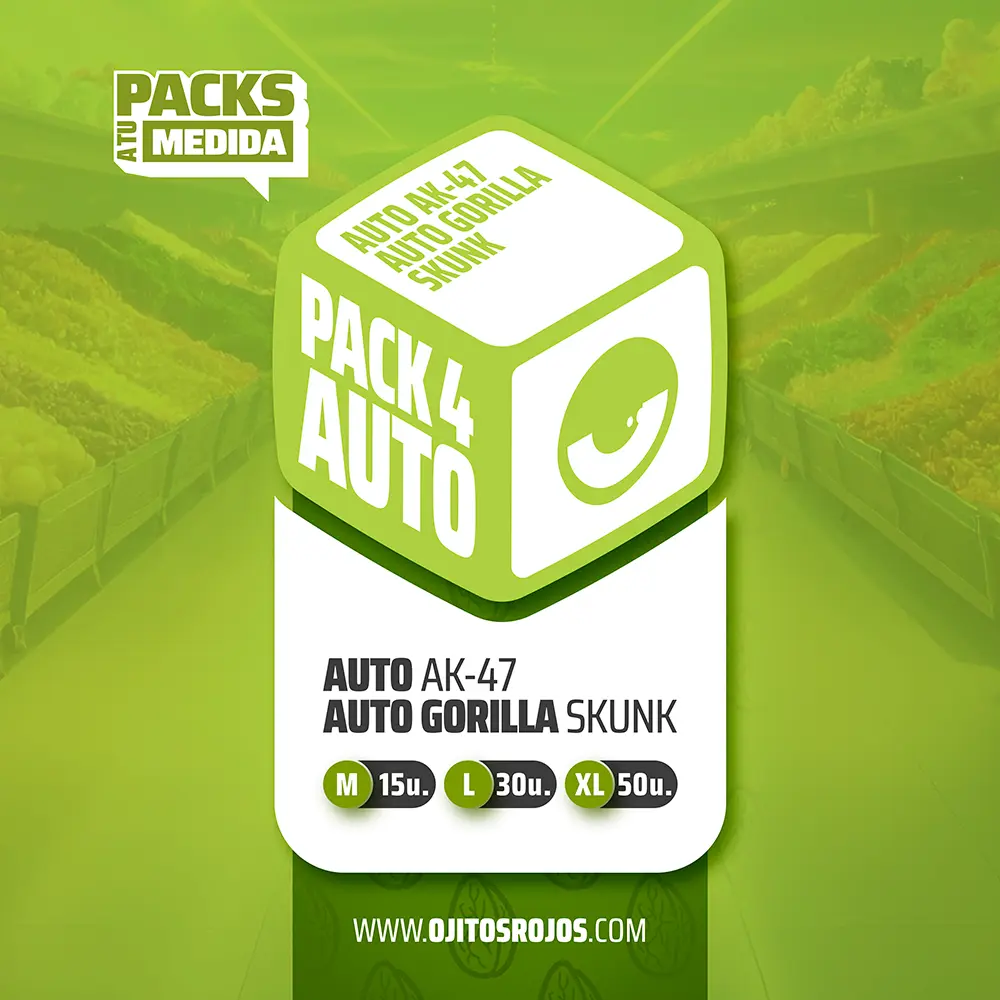 [SEM-ORJ-PCK-0010-15] Pack 4 AUTO (x15)