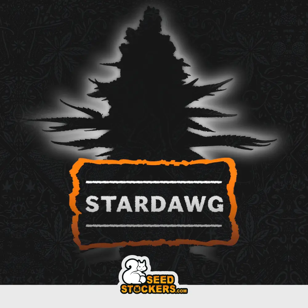 [SEM-SEE-AUT-0115] Auto Stardawg