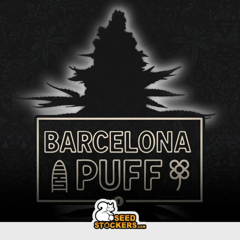 [SEM-SEE-AUT-0116] Auto Barcelona Puff