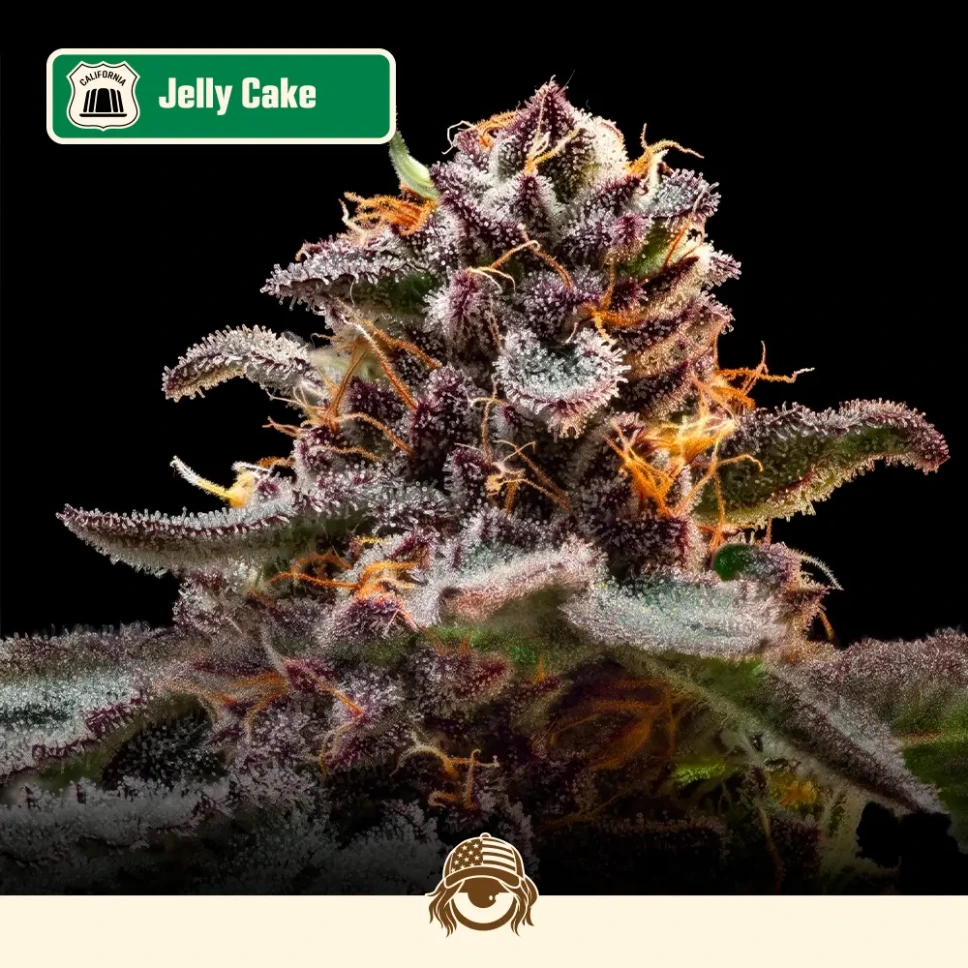 Jelly Cake - Mix