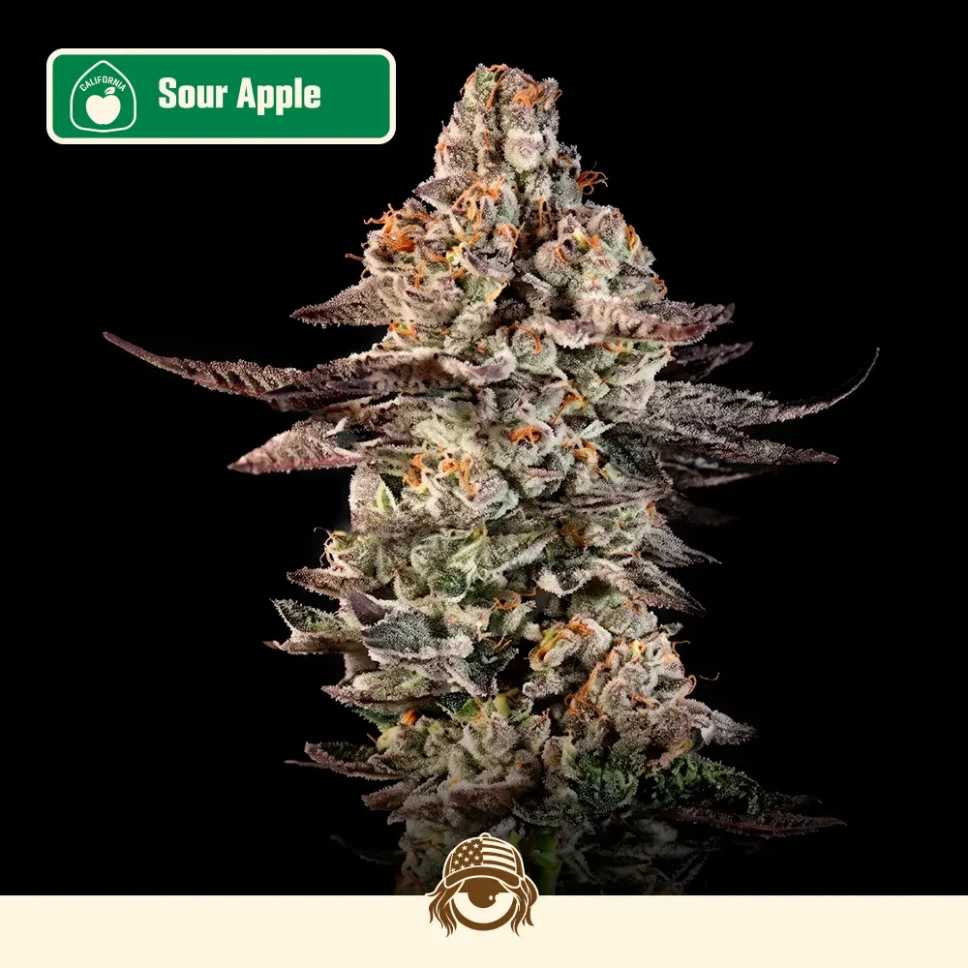 Auto Sour Apple - Mix